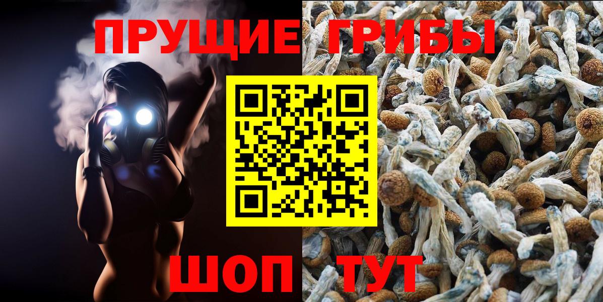 Галлюциногенные грибы Psilocybe  как найти наркотики  Псилоцибиновые грибы Psilocybe  Бор  Вход с VPN 